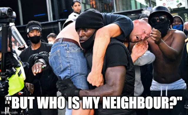 "BUT WHO IS MY NEIGHBOUR?" | image tagged in black lives matter | made w/ Imgflip meme maker