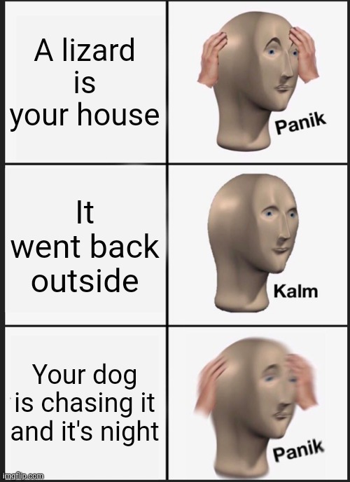 Pets | A lizard is your house; It went back outside; Your dog is chasing it and it's night | image tagged in memes,panik kalm panik | made w/ Imgflip meme maker