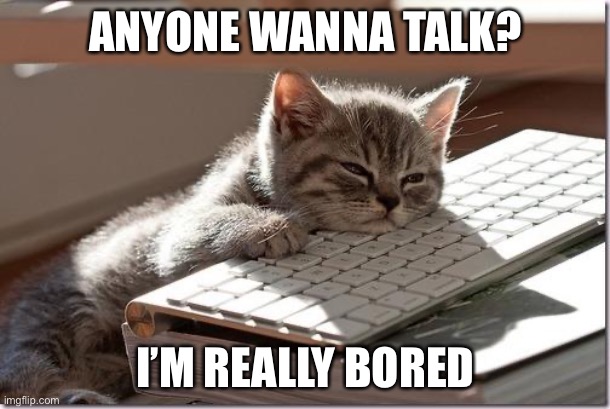 I’m bored | ANYONE WANNA TALK? I’M REALLY BORED | image tagged in bored keyboard cat | made w/ Imgflip meme maker