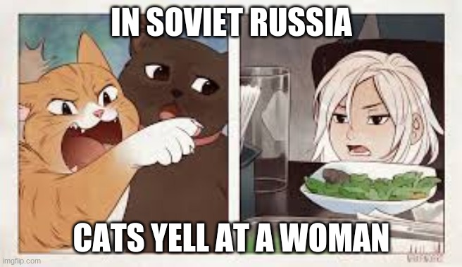 In Soviet Russia | IN SOVIET RUSSIA; CATS YELL AT A WOMAN | image tagged in in soviet russia,cat yelling at woman | made w/ Imgflip meme maker