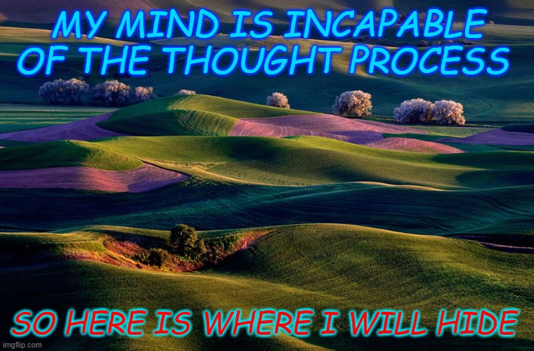 MY MIND IS INCAPABLE OF THE THOUGHT PROCESS; SO HERE IS WHERE I WILL HIDE | made w/ Imgflip meme maker