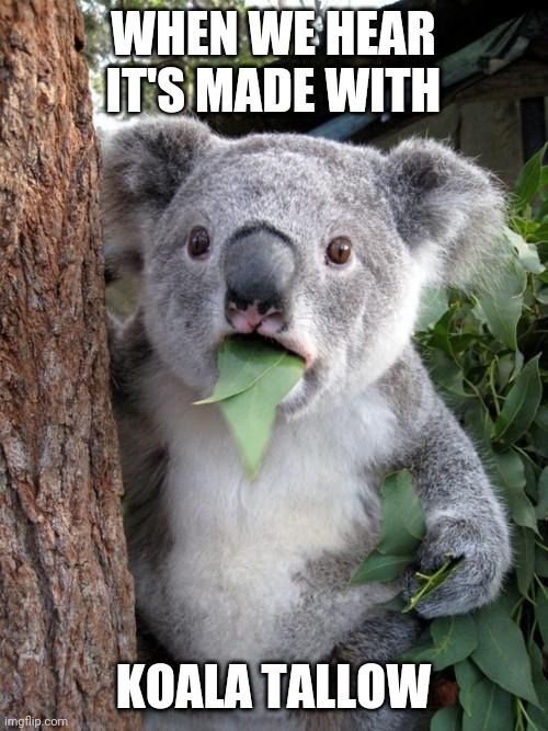 Surprised Koala Meme | WHEN WE HEAR IT'S MADE WITH; KOALA TALLOW | image tagged in memes,surprised koala | made w/ Imgflip meme maker