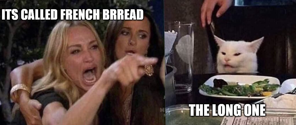 woman yelling at cat | ITS CALLED FRENCH BRREAD; THE LONG ONE | image tagged in woman yelling at cat | made w/ Imgflip meme maker