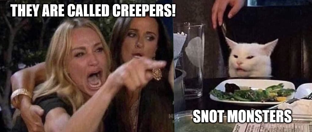 woman yelling at cat | THEY ARE CALLED CREEPERS! SNOT MONSTERS | image tagged in woman yelling at cat | made w/ Imgflip meme maker