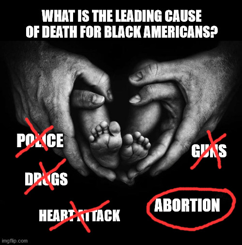Tiny Black Lives Matter | WHAT IS THE LEADING CAUSE OF DEATH FOR BLACK AMERICANS? POLICE; GUNS; DRUGS; ABORTION; HEART ATTACK | image tagged in pro life,black lives matter,abortion is murder,right to life | made w/ Imgflip meme maker