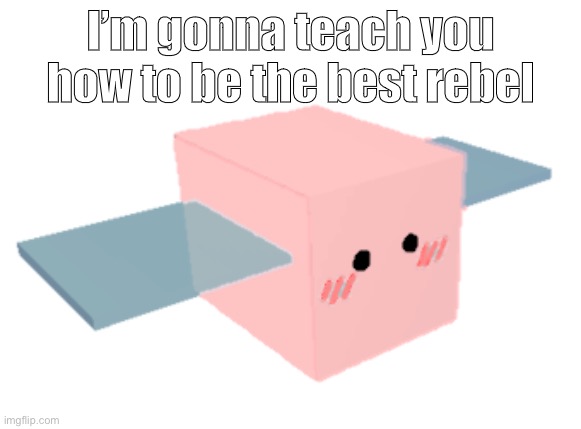 Bees teach classes | I’m gonna teach you how to be the best rebel | made w/ Imgflip meme maker