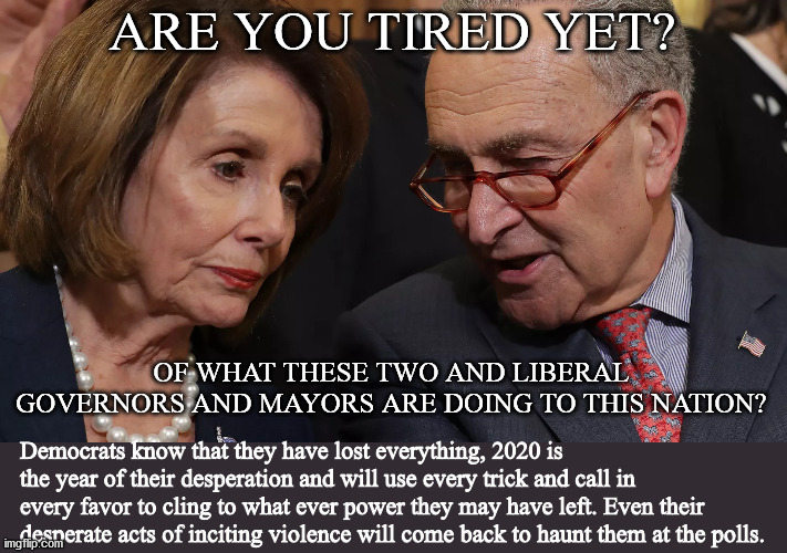 Pelosi & Schumer | ARE YOU TIRED YET? OF WHAT THESE TWO AND LIBERAL GOVERNORS AND MAYORS ARE DOING TO THIS NATION? Democrats know that they have lost everything, 2020 is the year of their desperation and will use every trick and call in every favor to cling to what ever power they may have left. Even their desperate acts of inciting violence will come back to haunt them at the polls. | image tagged in pelosi,schumer,dispicable,liberal | made w/ Imgflip meme maker