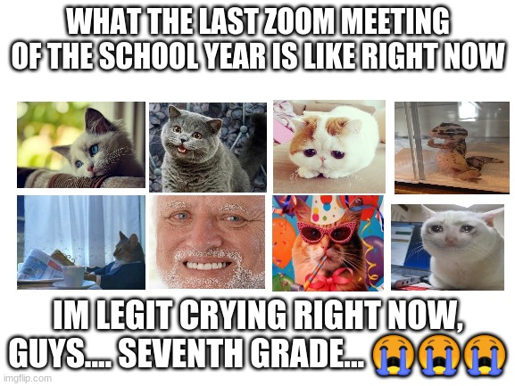 NUUUUUUUUUUUUUUUUUUUUUUUUUUUUUUUUUUUUUUUUUUUUUUU | WHAT THE LAST ZOOM MEETING OF THE SCHOOL YEAR IS LIKE RIGHT NOW; IM LEGIT CRYING RIGHT NOW, GUYS.... SEVENTH GRADE... 😭😭😭 | image tagged in blank white template | made w/ Imgflip meme maker