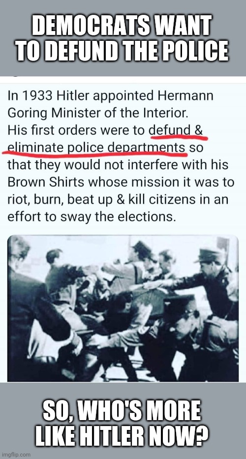 Brown Shirts Matter | DEMOCRATS WANT TO DEFUND THE POLICE; SO, WHO'S MORE LIKE HITLER NOW? | image tagged in democratic party,nazis,police lives matter | made w/ Imgflip meme maker