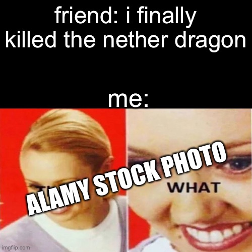 The What | friend: i finally killed the nether dragon; me:; ALAMY STOCK PHOTO | image tagged in the what,minecraft | made w/ Imgflip meme maker