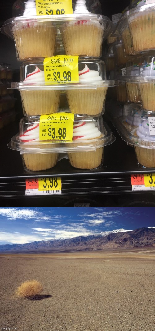 image tagged in desert tumbleweed,walmart logic | made w/ Imgflip meme maker