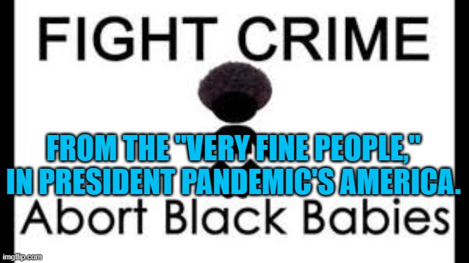 "Base" Humor | FROM THE "VERY FINE PEOPLE," IN PRESIDENT PANDEMIC'S AMERICA. | image tagged in politics | made w/ Imgflip meme maker