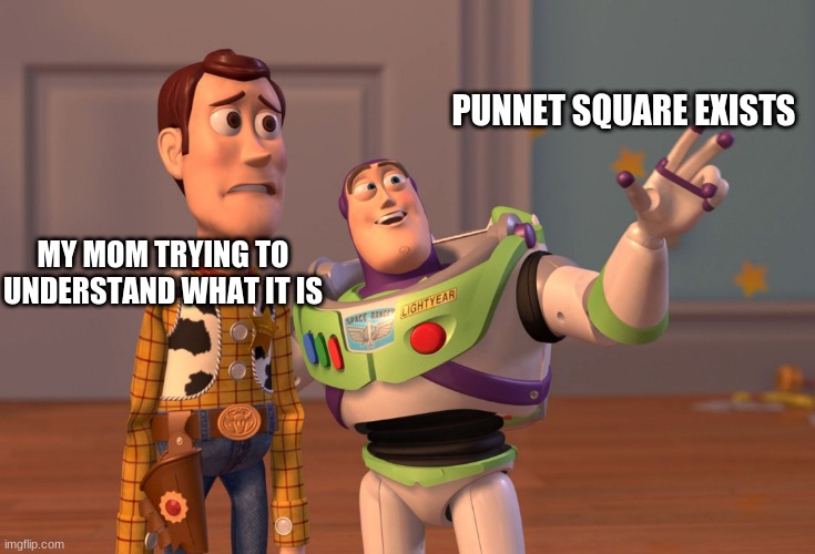 science | PUNNET SQUARE EXISTS; MY MOM TRYING TO UNDERSTAND WHAT IT IS | image tagged in memes,x x everywhere | made w/ Imgflip meme maker