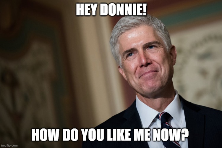 Equal Rights For All | HEY DONNIE! HOW DO YOU LIKE ME NOW? | image tagged in lgbt,equality,civil rights,scotus,karma | made w/ Imgflip meme maker