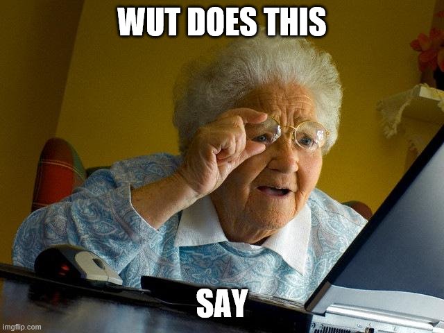 Grandma Finds The Internet Meme | WUT DOES THIS SAY | image tagged in memes,grandma finds the internet | made w/ Imgflip meme maker