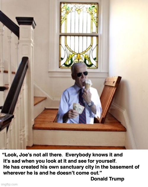 Joe’s handlers want him to stay in his basement until November 3 | “Look, Joe’s not all there.  Everybody knows it and
 it’s sad when you look at it and see for yourself.  He has created his own sanctuary city in the basement of  wherever he is and he doesn’t come out.”
                                                                    Donald Trump | image tagged in joe biden,trump | made w/ Imgflip meme maker