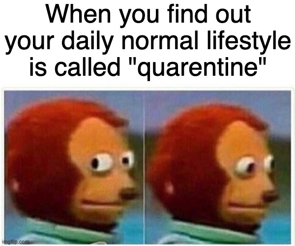 Monkey Puppet | When you find out your daily normal lifestyle is called "quarentine" | image tagged in memes,monkey puppet | made w/ Imgflip meme maker