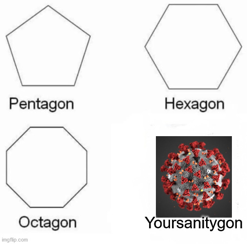 Mysanitygon, how bout yours? | Yoursanitygon | image tagged in memes,pentagon hexagon octagon | made w/ Imgflip meme maker