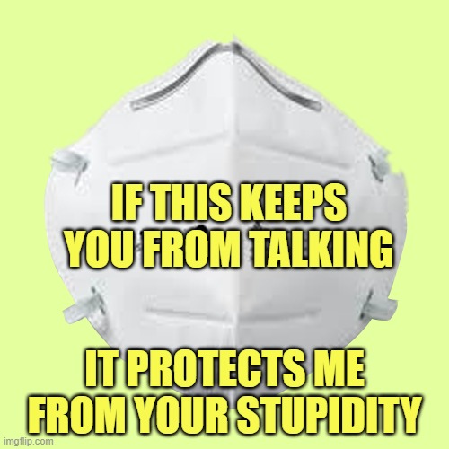Wear your mask if it keeps you from infecting me with your stupid. | IF THIS KEEPS YOU FROM TALKING; IT PROTECTS ME FROM YOUR STUPIDITY | image tagged in n95 mask,covid-19 | made w/ Imgflip meme maker
