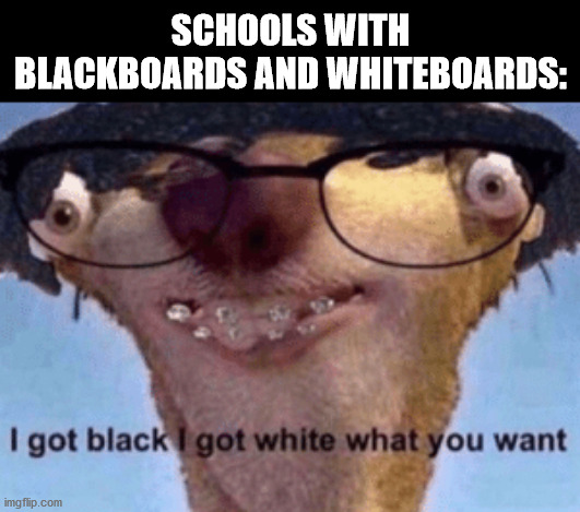 This template is trash but ideas just keep coming to me | SCHOOLS WITH BLACKBOARDS AND WHITEBOARDS: | image tagged in i got black i got white what ya want,memes,whiteboard,blackboard | made w/ Imgflip meme maker