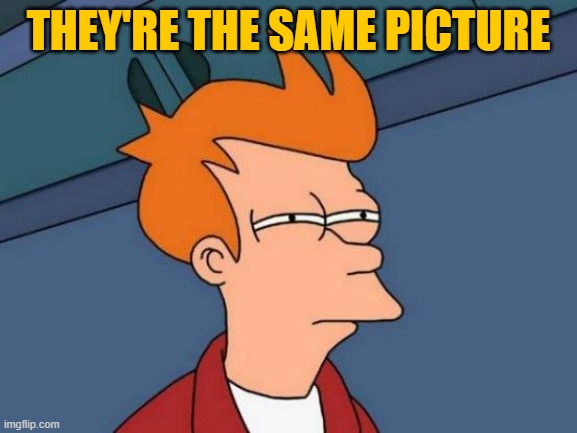 Futurama Fry Meme | THEY'RE THE SAME PICTURE | image tagged in memes,futurama fry | made w/ Imgflip meme maker