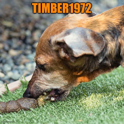 TIMBER1972 | made w/ Imgflip meme maker