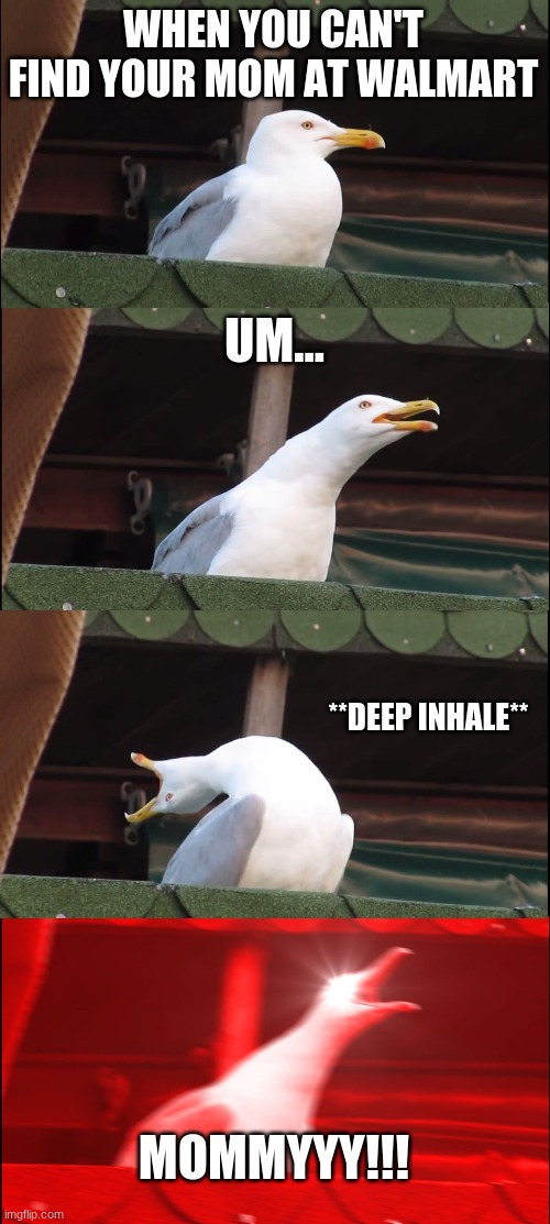 Inhaling Seagull | WHEN YOU CAN'T FIND YOUR MOM AT WALMART; UM... **DEEP INHALE**; MOMMYYY!!! | image tagged in memes,inhaling seagull | made w/ Imgflip meme maker