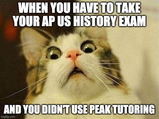 APUSH | WHEN YOU HAVE TO TAKE YOUR AP US HISTORY EXAM; AND YOU DIDN'T USE PEAK TUTORING | image tagged in memes,scared cat | made w/ Imgflip meme maker