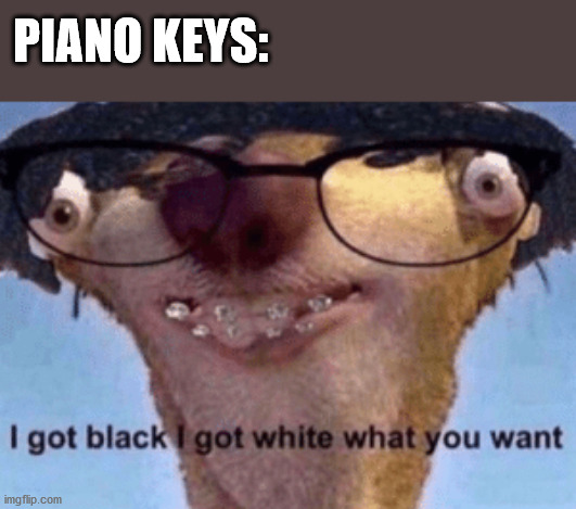 Why am I using this template? | PIANO KEYS: | image tagged in i got black i got white what ya want,memes,piano | made w/ Imgflip meme maker