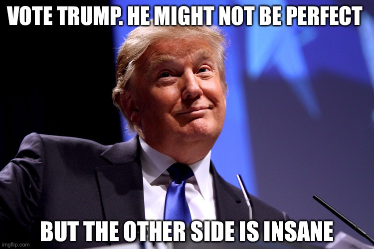 Vote Jobs not Mobs | VOTE TRUMP. HE MIGHT NOT BE PERFECT; BUT THE OTHER SIDE IS INSANE | image tagged in trump,democrats,insane | made w/ Imgflip meme maker