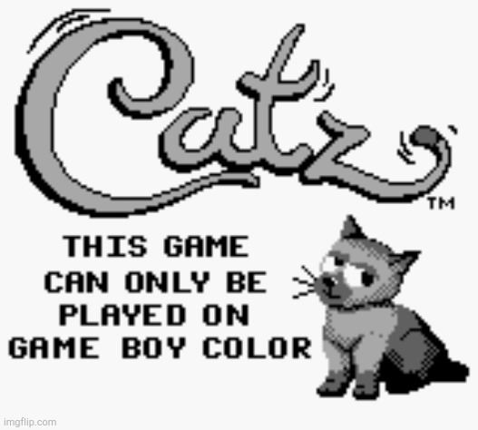 Catz | image tagged in catz | made w/ Imgflip meme maker
