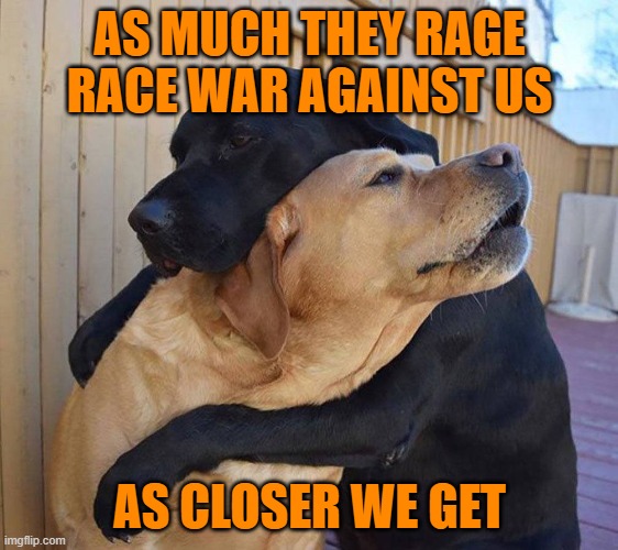 Emergency Hug | AS MUCH THEY RAGE RACE WAR AGAINST US; AS CLOSER WE GET | image tagged in emergency hug | made w/ Imgflip meme maker