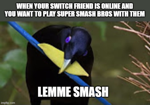 Lemme Smash | WHEN YOUR SWITCH FRIEND IS ONLINE AND YOU WANT TO PLAY SUPER SMASH BROS WITH THEM; LEMME SMASH | image tagged in lemme smash | made w/ Imgflip meme maker