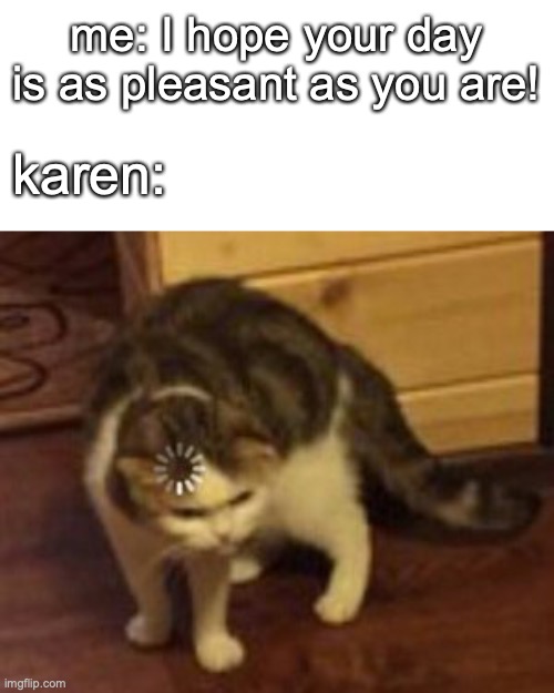 loading cat | me: I hope your day is as pleasant as you are! karen: | image tagged in loading cat | made w/ Imgflip meme maker