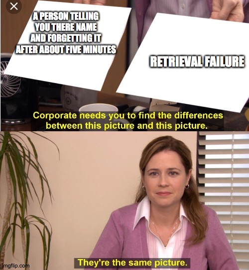 The Office Pam | A PERSON TELLING YOU THERE NAME AND FORGETTING IT AFTER ABOUT FIVE MINUTES; RETRIEVAL FAILURE | image tagged in the office pam | made w/ Imgflip meme maker