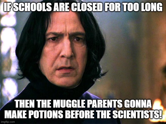 Homeschooling | IF SCHOOLS ARE CLOSED FOR TOO LONG; THEN THE MUGGLE PARENTS GONNA MAKE POTIONS BEFORE THE SCIENTISTS! | image tagged in school closing,pandemic,parents | made w/ Imgflip meme maker