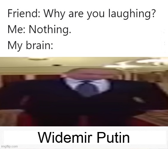 Wide Putin | Widemir Putin | image tagged in why are you laughing,memes | made w/ Imgflip meme maker