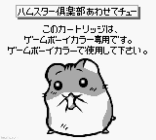 Hamster Club | image tagged in hamster club | made w/ Imgflip meme maker