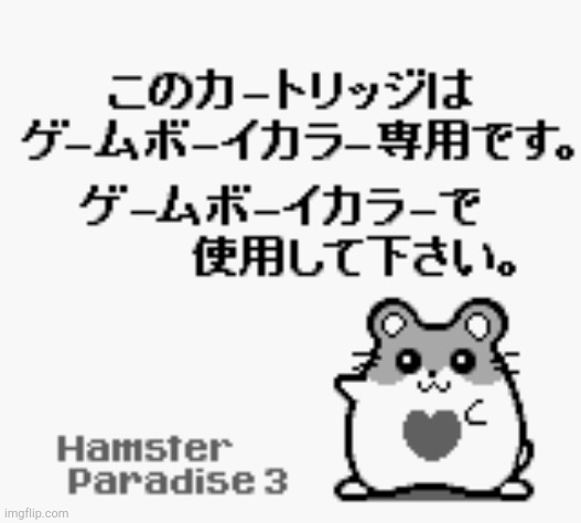 Hamster Paradise 3 | image tagged in hamster paradise 3 | made w/ Imgflip meme maker