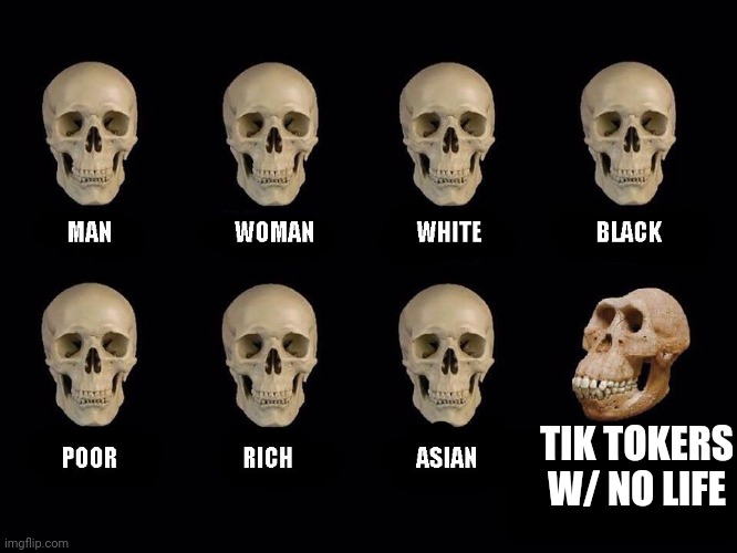 empty skulls of truth | TIK TOKERS W/ NO LIFE | image tagged in empty skulls of truth | made w/ Imgflip meme maker