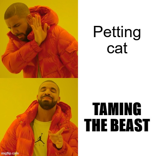 Insta users be like | Petting cat; TAMING THE BEAST | image tagged in memes,drake hotline bling | made w/ Imgflip meme maker