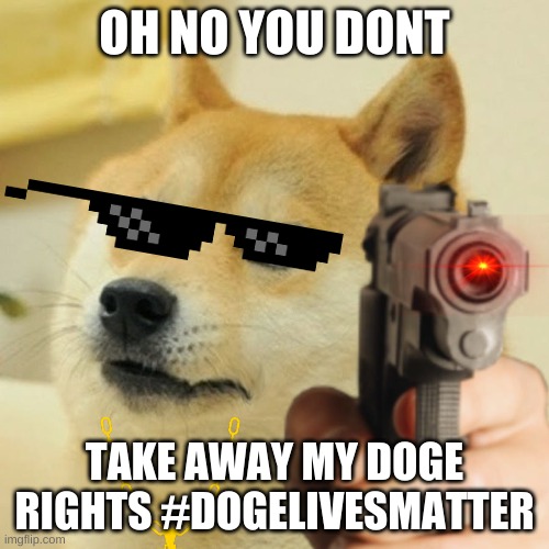 Doge holding a gun | OH NO YOU DONT; TAKE AWAY MY DOGE RIGHTS #DOGELIVESMATTER | image tagged in doge holding a gun | made w/ Imgflip meme maker