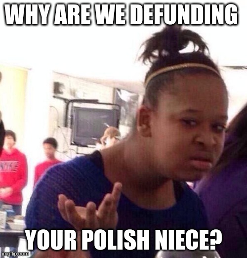 Why? | WHY ARE WE DEFUNDING; YOUR POLISH NIECE? | image tagged in memes,black girl wat,defund your polish niece,pay that girl,just say no,to soon | made w/ Imgflip meme maker