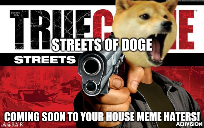 the streets of doge | STREETS OF DOGE; COMING SOON TO YOUR HOUSE MEME HATERS! | image tagged in doge | made w/ Imgflip meme maker