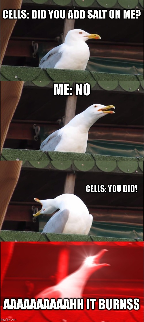 When water catches salt onto your skin: | CELLS: DID YOU ADD SALT ON ME? ME: NO; CELLS: YOU DID! AAAAAAAAAAHH IT BURNSS | image tagged in memes,inhaling seagull | made w/ Imgflip meme maker