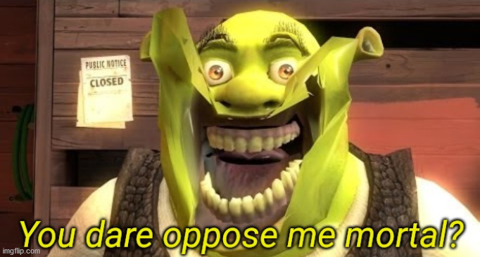 Shrek you dare oppose me mortal? | image tagged in shrek you dare oppose me mortal | made w/ Imgflip meme maker
