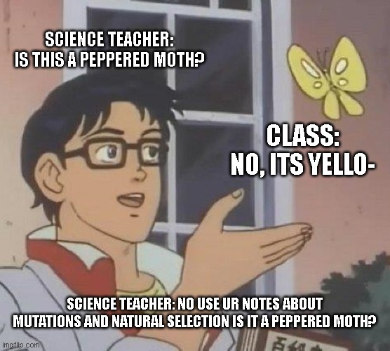 Is This A Pigeon Meme | SCIENCE TEACHER: IS THIS A PEPPERED MOTH? CLASS: NO, ITS YELLO-; SCIENCE TEACHER: NO USE UR NOTES ABOUT MUTATIONS AND NATURAL SELECTION IS IT A PEPPERED MOTH? | image tagged in memes,is this a pigeon | made w/ Imgflip meme maker