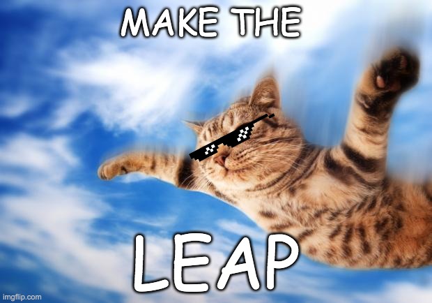 Flying-cat | MAKE THE; LEAP | image tagged in flying-cat | made w/ Imgflip meme maker