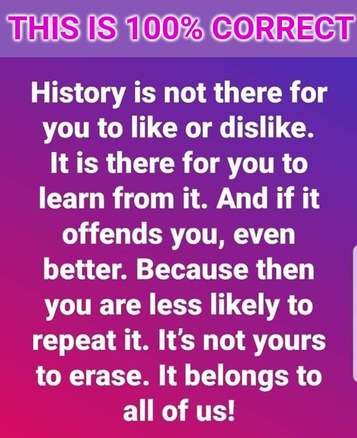 The country is lost if tearing down statues and vandalizing monuments makes you feel better. Erasing history solves nothing. | THIS IS 100% CORRECT | image tagged in america,united states,united states of america | made w/ Imgflip meme maker