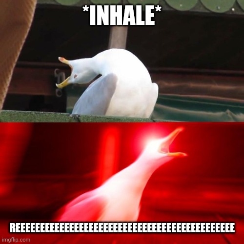 Inhales Seagull | *INHALE* REEEEEEEEEEEEEEEEEEEEEEEEEEEEEEEEEEEEEEEEEEEEE | image tagged in inhales seagull | made w/ Imgflip meme maker